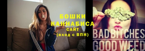 мдпв Киреевск