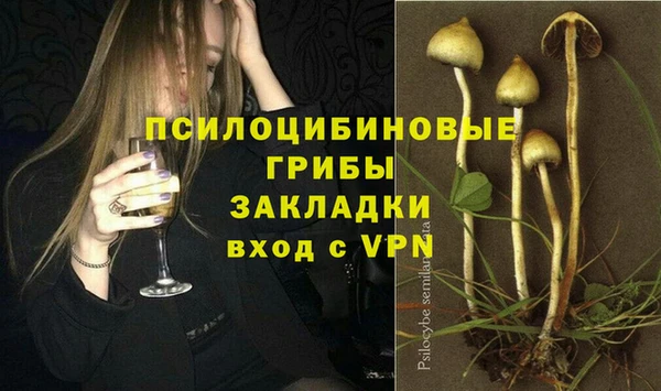 мдпв Киреевск