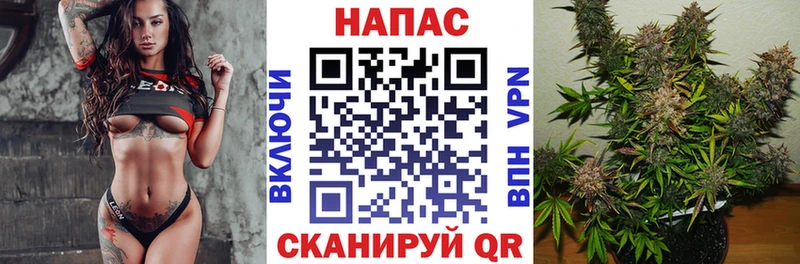 Купить где  Володарск  МАРИХУАНА White Widow 
